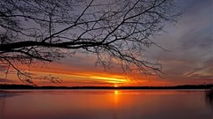 Sunset Landscapes nature Trees