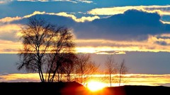 Sunset Landscapes nature Trees