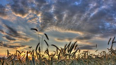 Sunset Landscapes scenic HDR