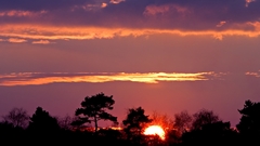 Sunset Landscapes sun