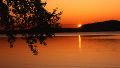 Sunset Landscapes sun Trees