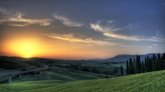 Sunset Landscapes Trees