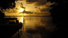 Sunset Landscapes Trees lakes