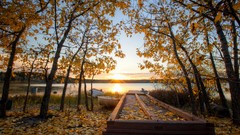 Sunset leaves Trees autumn Canada piers fallen leaves