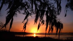 Sunset light Florida rivers