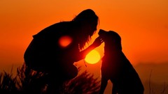 Sunset love Dogs dusk master