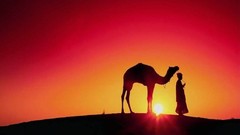 Sunset Men Camels deserts