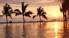 Sunset Mexico palm trees