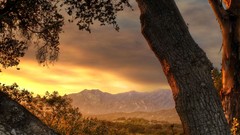 Sunset Mountains Landscapes Trees