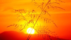 Sunset Mountains sun silhouettes