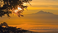 Sunset Mountains Trees
