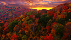 Sunset Mountains Trees autumn
