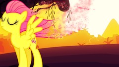 Sunset My Little Pony: Friendship is Magic Fluttershy