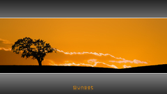 Sunset nature