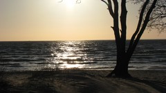 Sunset nature Beaches