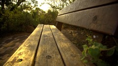 Sunset nature chairs Africa South Africa bushes
