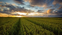Sunset nature clouds