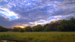 Sunset nature clouds Africa South Africa bushes