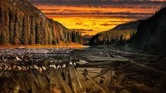 Sunset nature clouds logs rivers skies forests