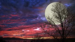 Sunset nature clouds moon