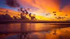 Sunset nature coast shore