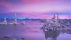 Sunset nature cold Frozen