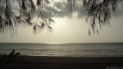 Sunset nature evening Beaches