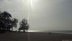 Sunset nature evening Beaches