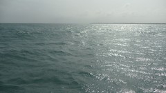 Sunset nature evening Beaches