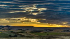 Sunset nature fields skyscapes