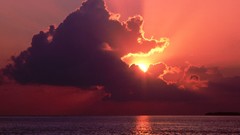 Sunset nature Florida