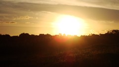 Sunset nature forests