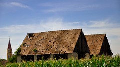 Sunset nature grass houses Villages