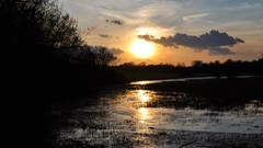 Sunset nature grass water lakes houses Villages