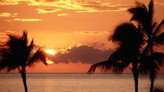 Sunset nature Hawaii