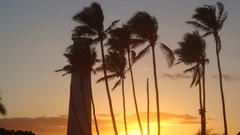 Sunset nature Hawaii