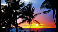 Sunset nature Hawaii