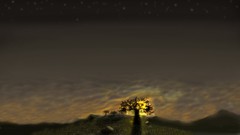 Sunset nature horizon