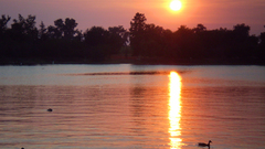 Sunset nature Lake sun
