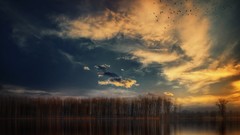 Sunset nature lakes skies