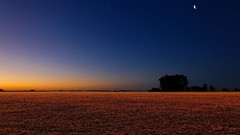Sunset nature night moon
