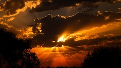 Sunset nature orange