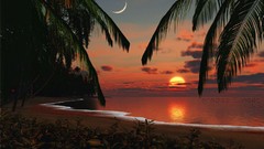 Sunset nature paradise widescreen tropical