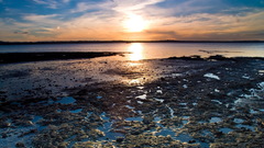 Sunset nature Sea Beaches