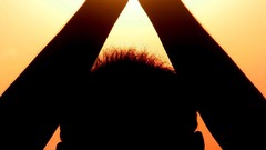 Sunset nature silhouettes