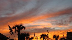 Sunset nature skyscapes