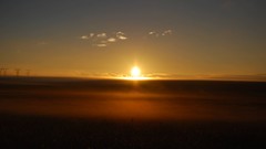 Sunset nature South Africa