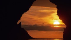 Sunset nature summer