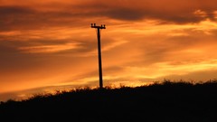 Sunset nature sun bright red orange pole skies power lines