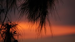 Sunset nature sun room clouds skies